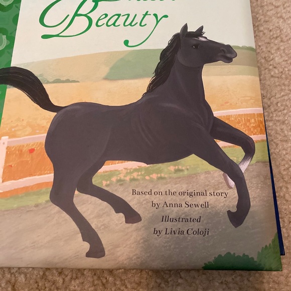 Lot of 6 Classic Children’s Stories New! Black Beauty and 5 more titles New! - Picture 6 of 12